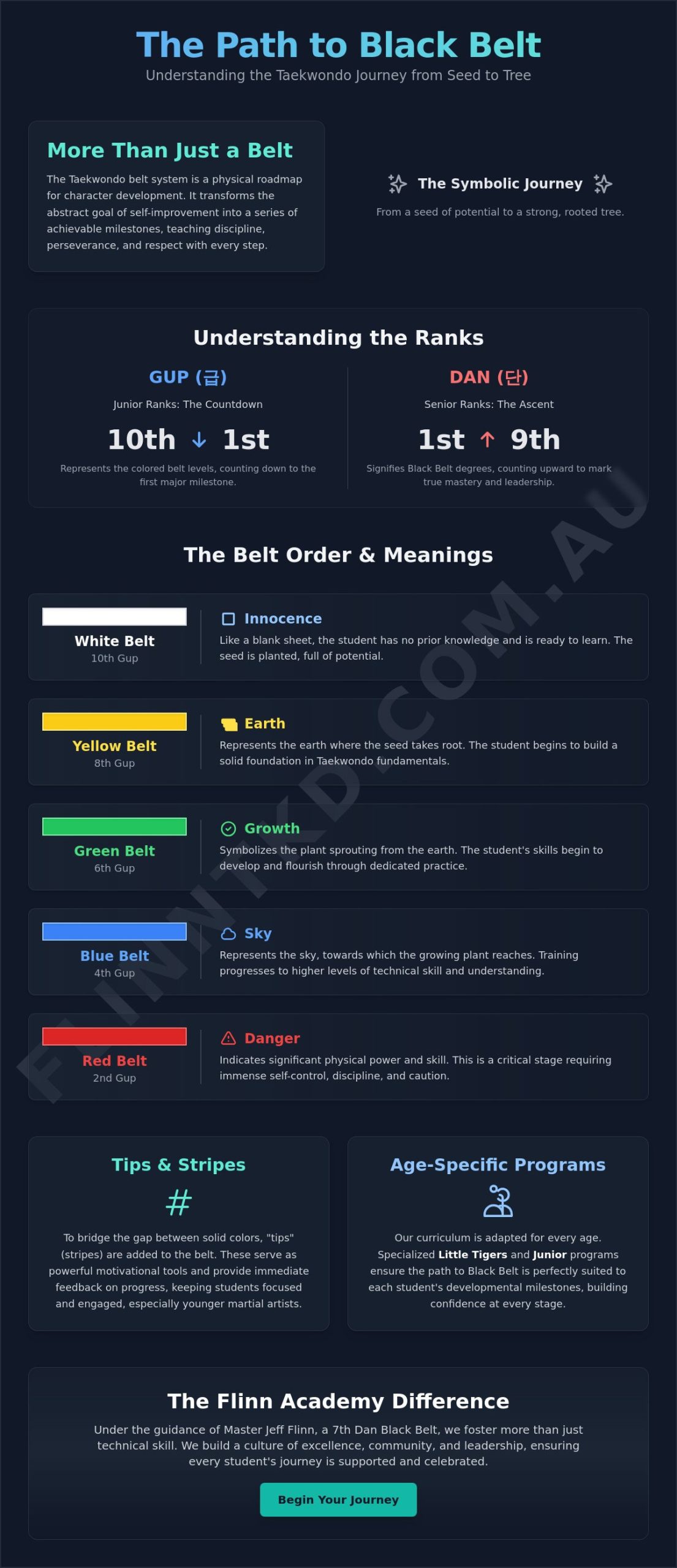 Taekwondo Belt Order and Meanings: The 2026 Guide for Brisbane Families